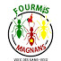 q-hp5WxEytQ-channel-avatar-Les Actions des Fourmis magnans