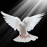 VV4ifYFRKc8-channel-avatar-David K Woodbury (Woody's Video Ministry)