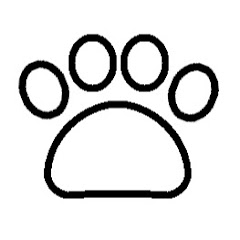 わんわんの一日(・ω・ )