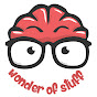 The Wonder Of Stuff logo