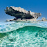 psDAV_52QB0-channel-avatar-Marcrussophotography