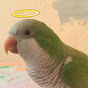 elcoronelGOD Avatar