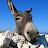 @stinger71 Avatar