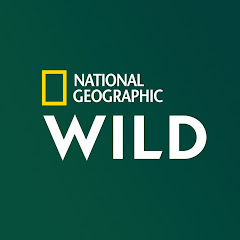 National Geographic Wild France net worth