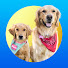 YYES_87H5Yo-channel-avatar-Life of Sammie & Summer
