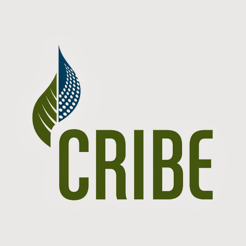 Cribe north