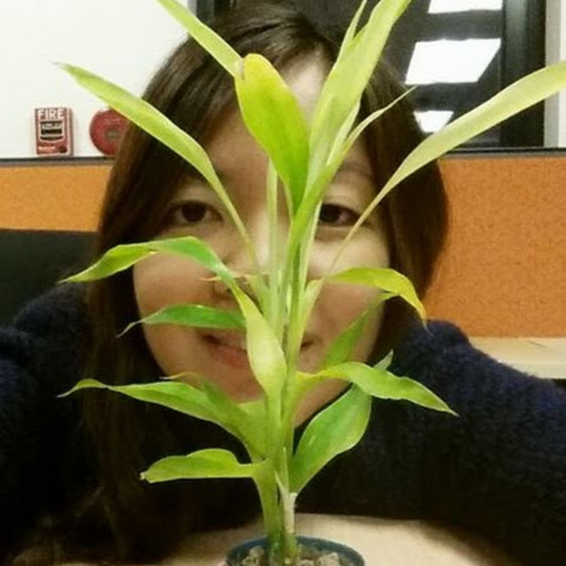 Rosey's Greenery