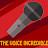 The Voice Incredible