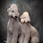 @BedlingtonGroomer's avatar