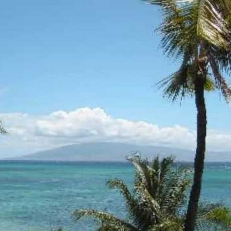 BetterWayVacations