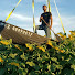 9mHNLWGjVRk-channel-avatar-The Random Farmer