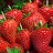 ягода на Кубани