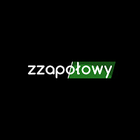 Zzapolowy profile image