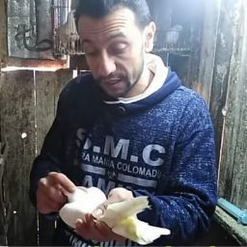 حمام اسكندريه - محمد رزق