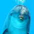 G1I3psDbD94-channel-avatar-GeniusDolphin