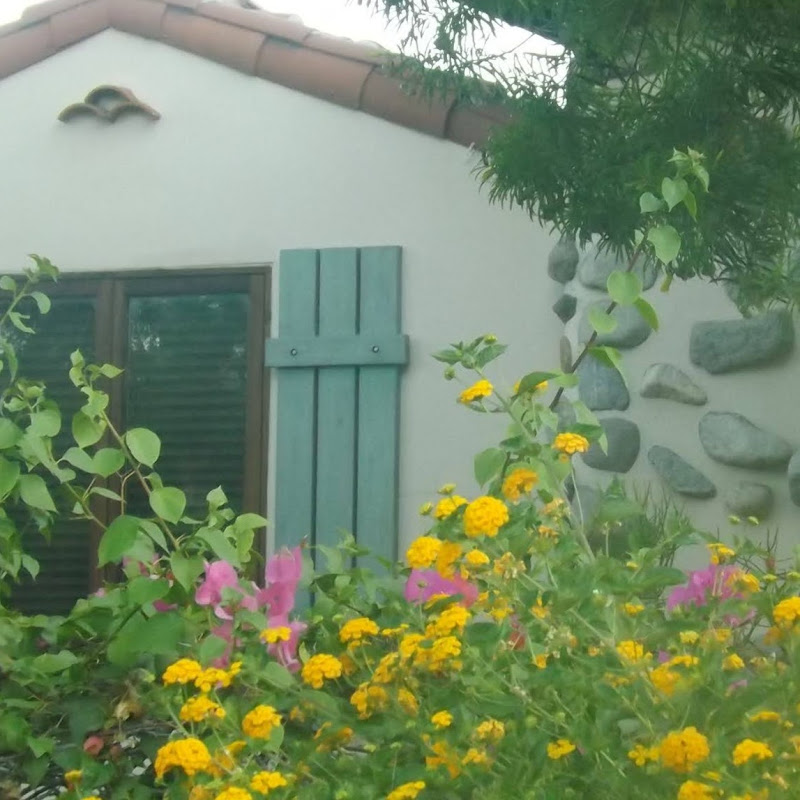 Down Pepper Tree Lane