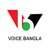 What could Voice Bangla buy with $8.7 million?