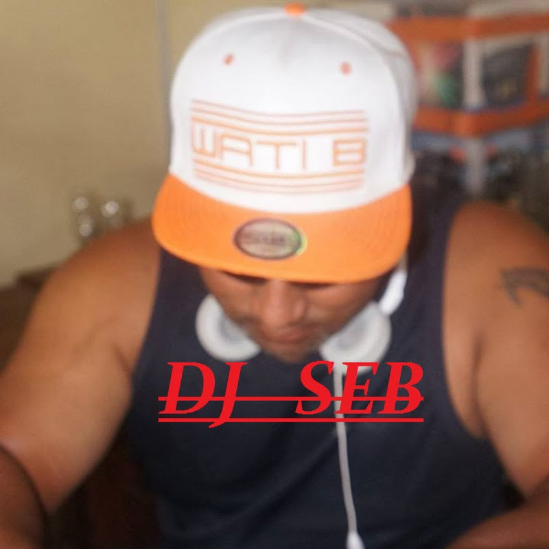 Dj Seb Animation