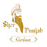 07xWYJClCoA-channel-avatar-Sher E Punjab Gurbani