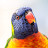 @theyetiinoz1478 Avatar