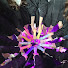 CzFaxVw_6aA-channel-avatar-IZ*Tube