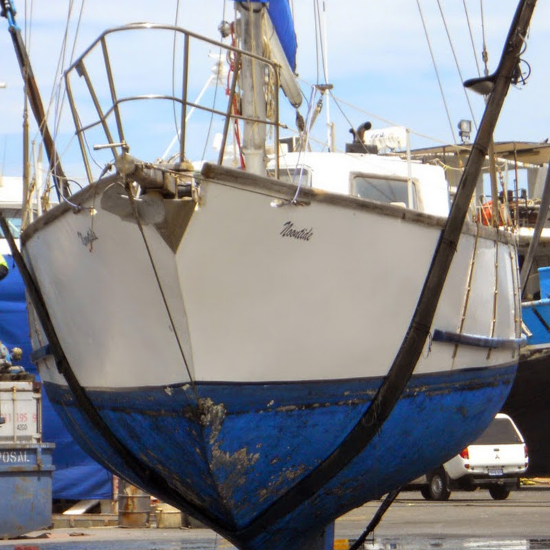 sailingserenity469