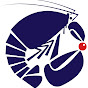 Firth of Forth Lobster Hatchery logo