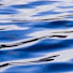lQT0ueaOmmo-channel-avatar-Wetlook Gossin