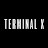 TERMINAL X