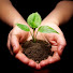 iExUB8UKULc-channel-avatar-Gardening Story