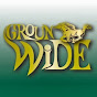 GW168