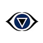 LJ Eye Institute logo