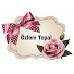 oaLj0ITT9iI-channel-avatar-Özlem Topal