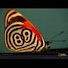 gbvSQRHUm6c-channel-avatar-hsiaoyen00