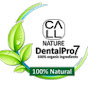 Dental Pro 7 logo
