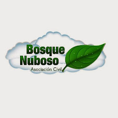 Bosque Nuboso Asociación Civil