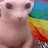 @Todomo Avatar