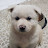 @아기곰순이