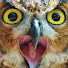 YzXTxSlWUP8-channel-avatar-Night Owl