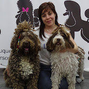 Peluquería canina Sandra Rovira