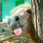 ForestWhitakerTulpa Avatar