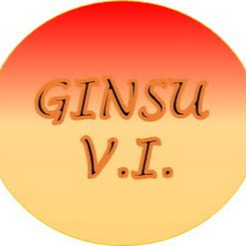 Ginsu Value Investor