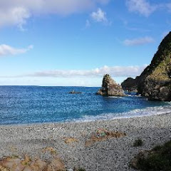 睡蓮花アイコン画像