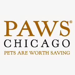 Paws Chicago