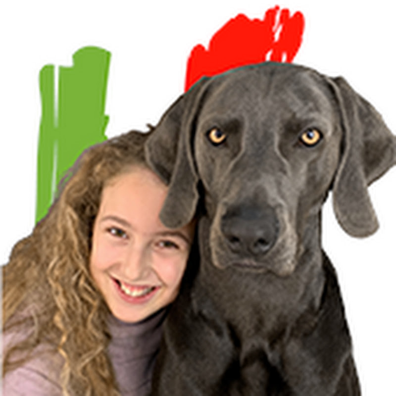 Channel Avatar
