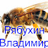kXnPTZztDL4-channel-avatar-ПАСЕКА ВЛАДИМИРА РЯБУХИНА
