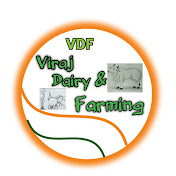 Viraj Dairy & Farming