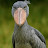 @beckybaney2394 Avatar