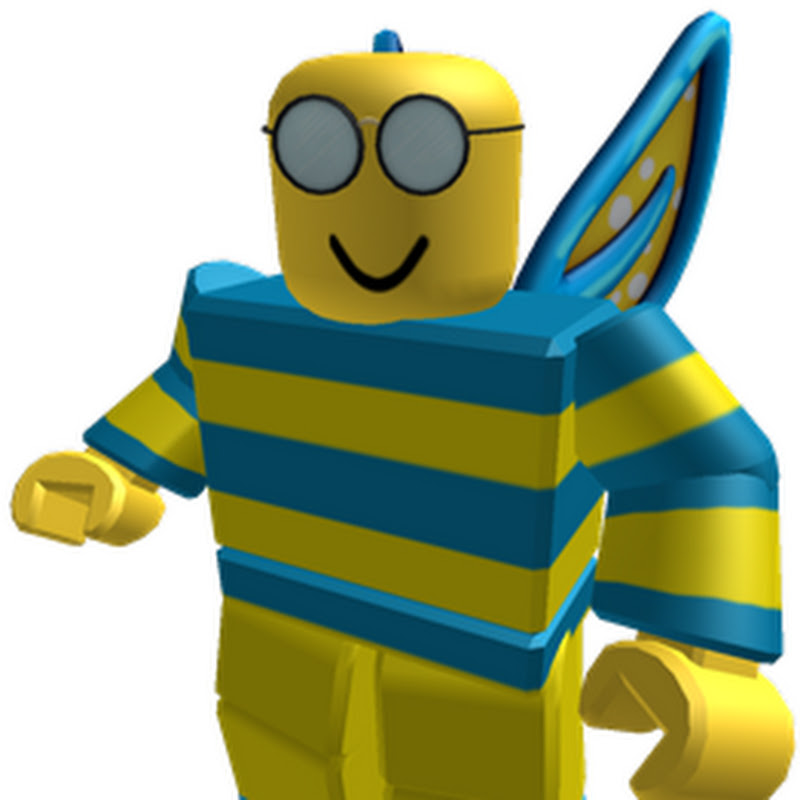 Hoops The Bee
