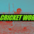 Kidz Cricket World